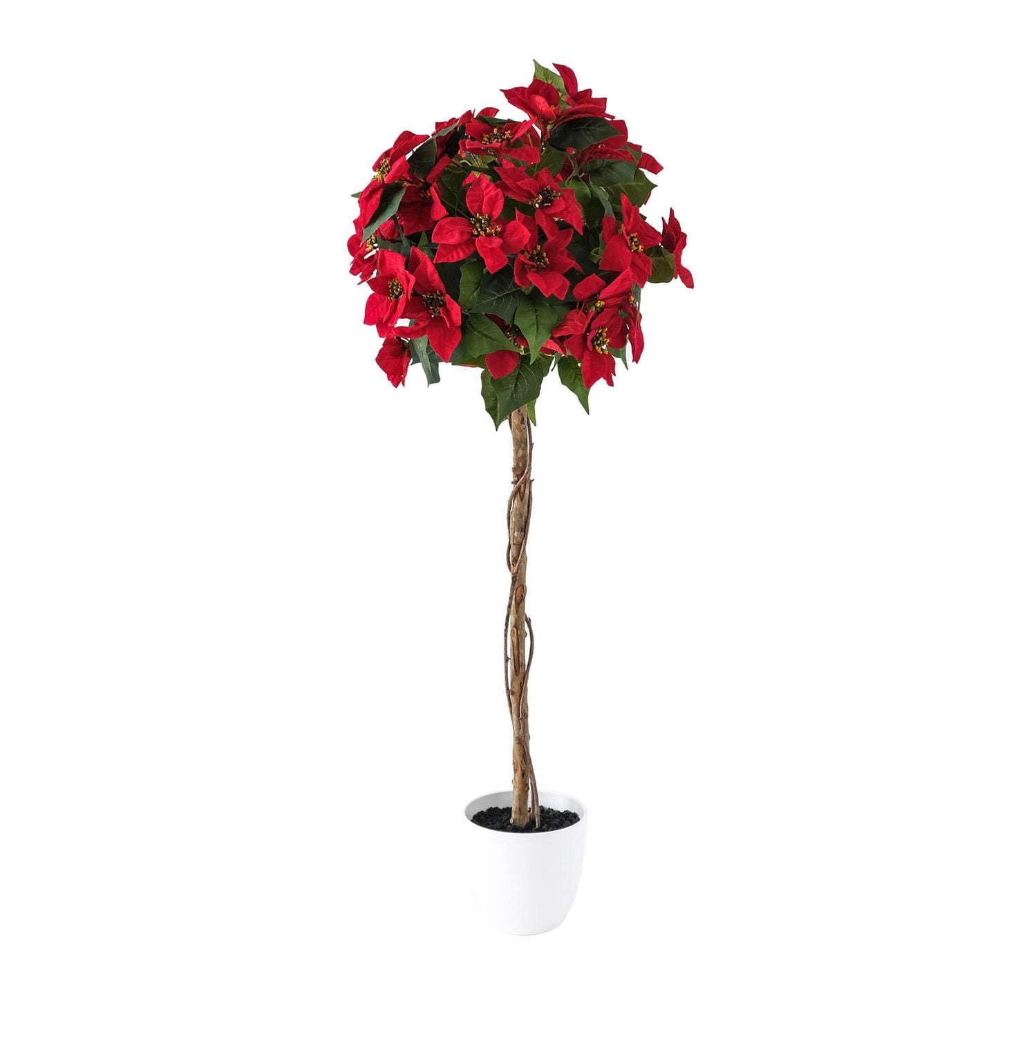 Poinsettia, 47"H