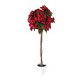 thumbnail image 1 of Poinsettia Tree, 47"H, 1 of 6