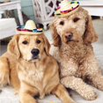 thumbnail image 4 of Greeniant Mini sombrero de paja, sombreros ajustables para perros, gorros transpirables a la moda, sombreros de fiesta amigables con la piel, con Suministros para perros, 4 of 6