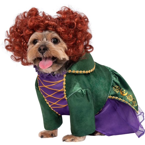 Rubies Disney Hocus Pocus Winifred Sanderson Pet Costume, Large for Themed Parties and Halloween