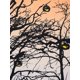 thumbnail image 4 of Vestido de impresión de la cara de la calabaza del árbol de Halloween Rosegal  Vestidos Estampados Tallas Grandes, 4 of 5