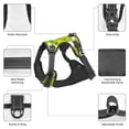 thumbnail image 6 of Lsque Green Apple Dog Harness, No-Pull Pet Harness with 2 Leash Clips, Adjustable Soft Padded Dog Vest with Easy Control Handle for Large Dogs-, 6 of 9