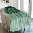 thumbnail image 3 of PAVILIA Fluffy Sherpa Throw Blanket Ombre | Gradient Plush, Soft, Fuzzy, Decorative Accent Throw Blanket for Couch Sofa Twin Bed | Cozy Warm Decorative Furry Faux Fur Blanket, 60x80 Inches Green, 3 of 8