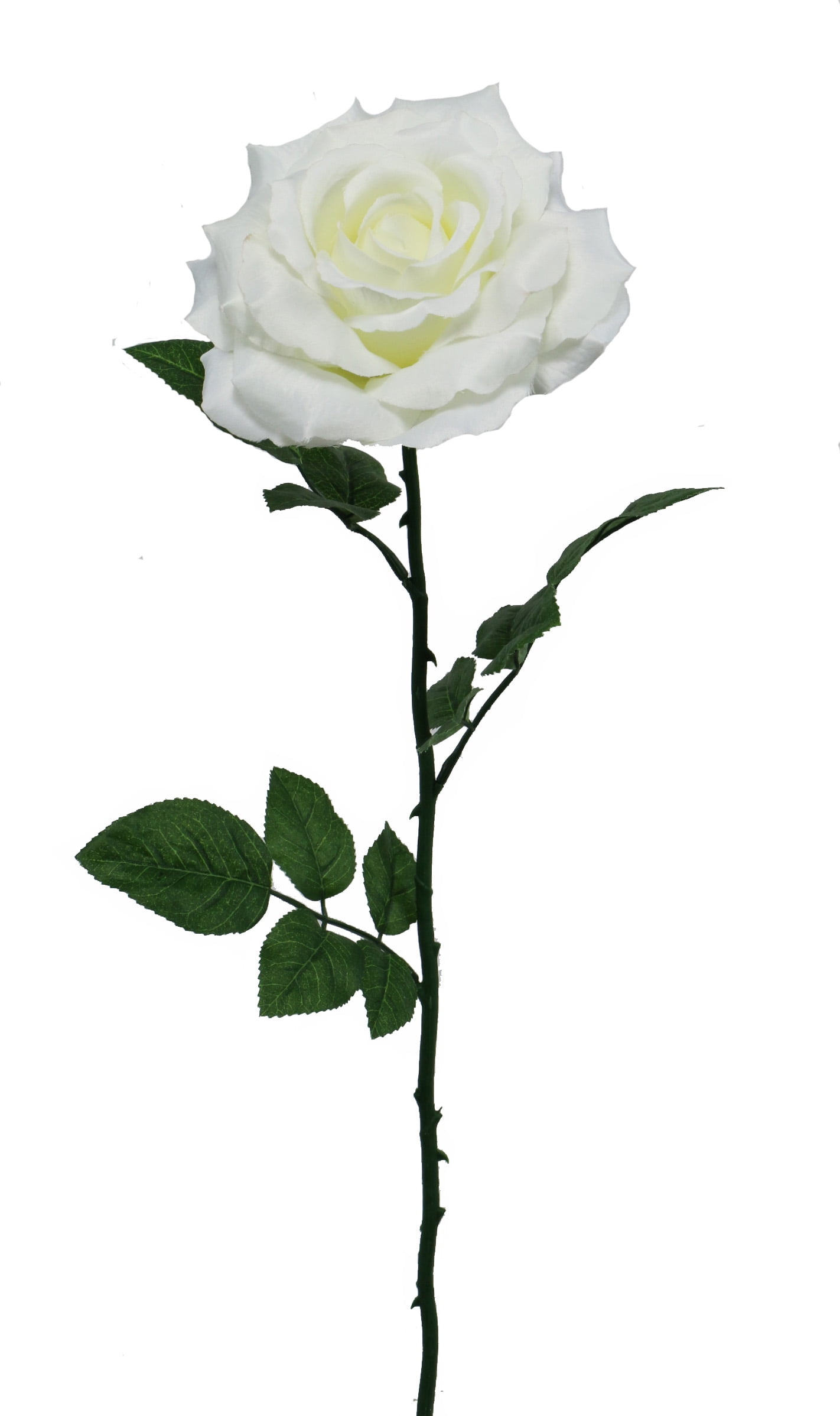 Teters Floral Summer Collection 24" Large White Singe Rose Stem, 12