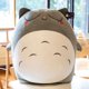 thumbnail image 1 of Nuevo japonés dibujos animados Totoro almohada de felpa lindo gato suave muñeco de peluche regalo para niños 40cm zhangmengya LED, 1 of 2