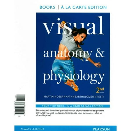Visual Anatomy Amp Physiology Student Worksheets