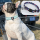 thumbnail image 3 of Collar para perros de lujo: adecuado para perros pequeños y medianos, 3 of 5