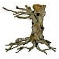thumbnail image 2 of Weco Wecorama Aquarama Witch Tree X-Large (Pack of 1), 2 of 3