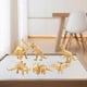 thumbnail image 5 of de animales salvajes de dinosaurios prehistóricos de oro para miniatura de acción de niñas aprendiendo juguetes de apoyo 6pcs CUTICAT Estatua de los dinosaurios, 5 of 8