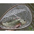 thumbnail image 5 of Fly Fishing Landing Net Trout Fishing Net, Soft Rubber Catch and Release Fish Net with Wooden Handle, 5 of 5