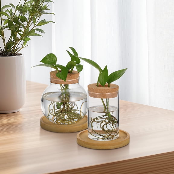 PAMINGONO Clear Glass Vase with Wooden Base Minimalist Design for Indoor Plants 2Pcs