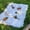 White, variant on Picnic Blanket Outdoor Blanket Foldable Blanket Picnic Mat Beach Mat for Camping Lawn Beach Grass, Kitchen Tassel Tablecloth Table Decor, 35"x59"(White)