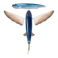 thumbnail image 5 of Nomad Slipstream Flying Fish 200 Pack, 8" PHT - Phantom, 5 of 6