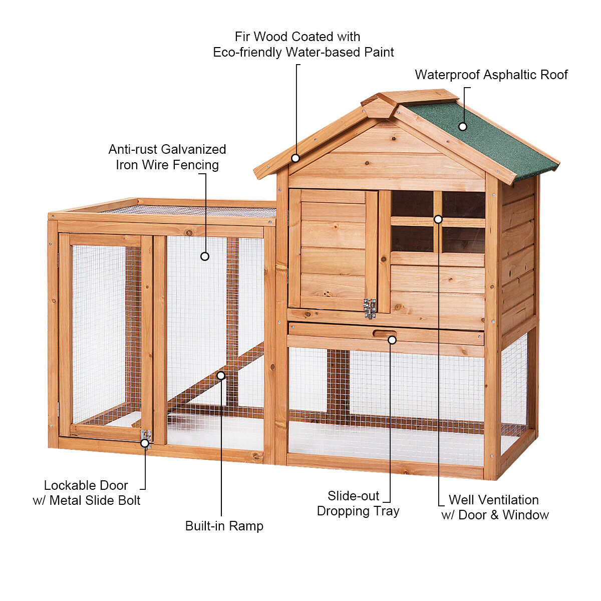 10 Tips For The Most Perfect Duck Coop