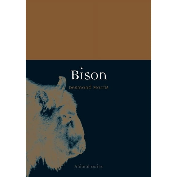 Animal: Bison (Paperback)