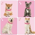 thumbnail image 4 of Jumpress Leather Dog Collar for Medium Dogs, Heavy Duty Soft Padded Medium Dogs Collar (Hot Pink, M), 4 of 8