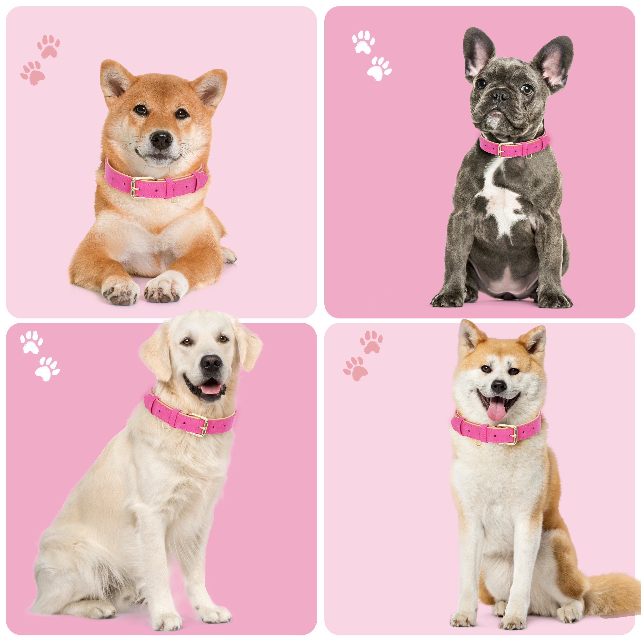 Jumpress Leather Dog Collar for Medium Dogs, Hot Pink photo 4