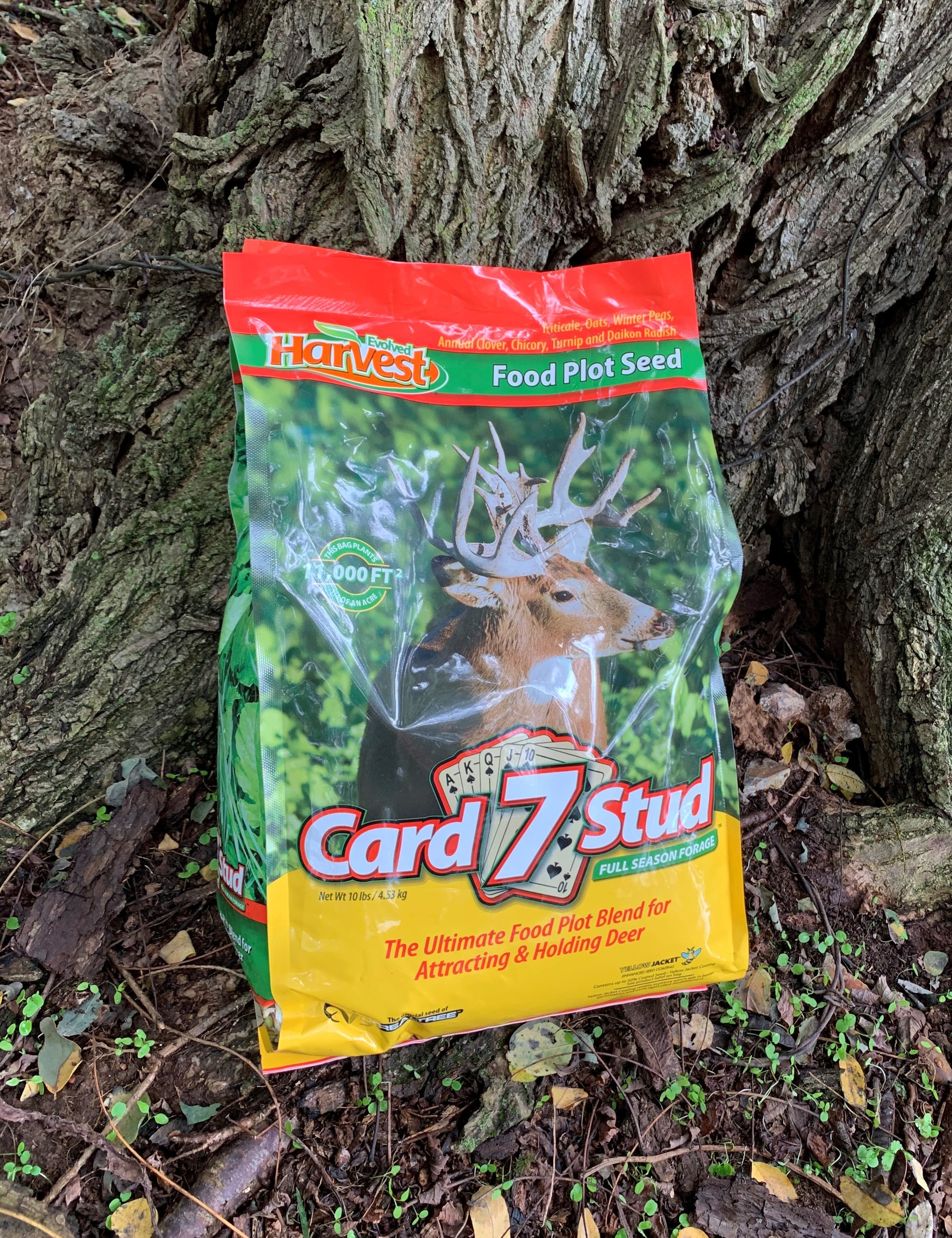 (2 pack) Evolved Harvest Card 7 Stud Full Season Forage Food Plot Seed, 10 lb. Bag