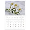 thumbnail image 5 of Garden flowers (Monthly Wall Calendar 2026 11.7 x 16.5 (open)), CALVENDO 14 Month Calendar, 5 of 9