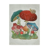 Trademark Fine Art 'Mushroom Collection I' Canvas Art by Chariklia Zarris