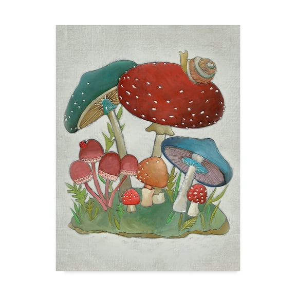 Trademark Fine Art 'Mushroom Collection I' Canvas Art by Chariklia Zarris