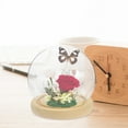 thumbnail image 2 of CIMAXIC Spherical Glass Dome Display for Flowers Multi Glass 1Set, 2 of 8