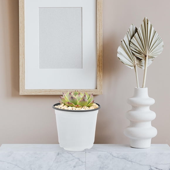 FUEENIRVA 60Ud Maceta De Plástico Para Suculentas Con Simple Para Jardinería