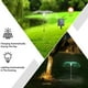 thumbnail image 3 of Luces Solares Para Exteriores, Luces Solares De Fibra Para Jardín, Luces Solares Impermeables Para Exteriores, Luces De Seguridad Para Entrada, Jardín, Patio, Césped 4 Uds. Minnieouse HA036741-00, 3 of 6