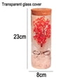 thumbnail image 2 of Real Eternal Gypsophila paniculata Bottle Lamp con control remoto LED Night Light Wishing Gift Zhivalor CPB-SSW1689-2, 2 of 5