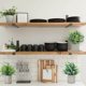 thumbnail image 1 of WEUVEB 1Jgo Planta Decorativa Artificial Colgante Con Material Duradero Y, 1 of 7