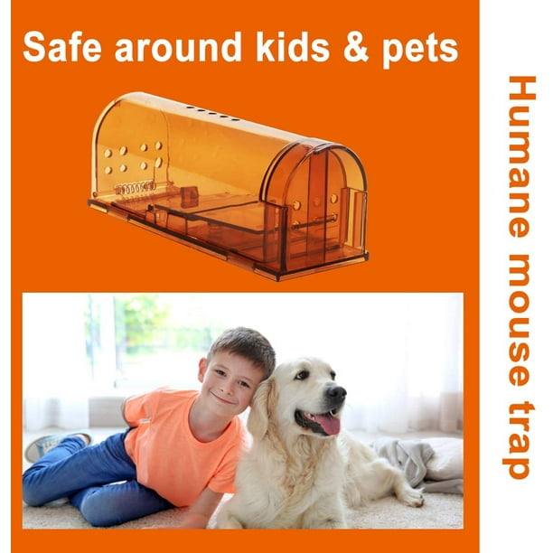 Mouse Trap 2 Pack Small Humane Mouse Catcher Kid and Pet Safe