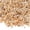 Gold Sand, variant on 2.5 lbs Coarse Sand for Plants, 1/5 Inch Horticultural Sand for Vases, Aquariums, Terrarium, Fish Tank, Drainage Rocks for Potted Plants, Bamboo, Succulent, Crafts, Cactus