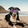 thumbnail image 2 of Dog Sunglasses Small Dog Polarized Sunglasses Wind Proof Pet Goggles Adjustable Folding Glasses Dog Place Accessories Ground For Dogs Dog Accessories Nearby Dog Accessories 24 Puppy Accessories Set, 2 of 6