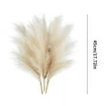 thumbnail image 5 of HESHENG 6PCS Faux Pampas Grass 18" Tall Decor, Small Pompous Artificial Dried Pompas Grass, Fake Pampas Floral , Artificial Flowers Vase Filler, Home Wedding Boho Decor, Beige, 5 of 10