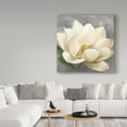 thumbnail image 3 of Trademark Fine Art 'Magnolia Blossom on Gray' Canvas Art by Albena Hristova, 3 of 3