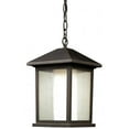 thumbnail image 1 of 1 Light Outdoor Chain Light Oil Rubbed Bronze Aluminum  Glass, 1 of 1