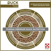 Purina® Duck Feed Pellets, 40 Pound Bag