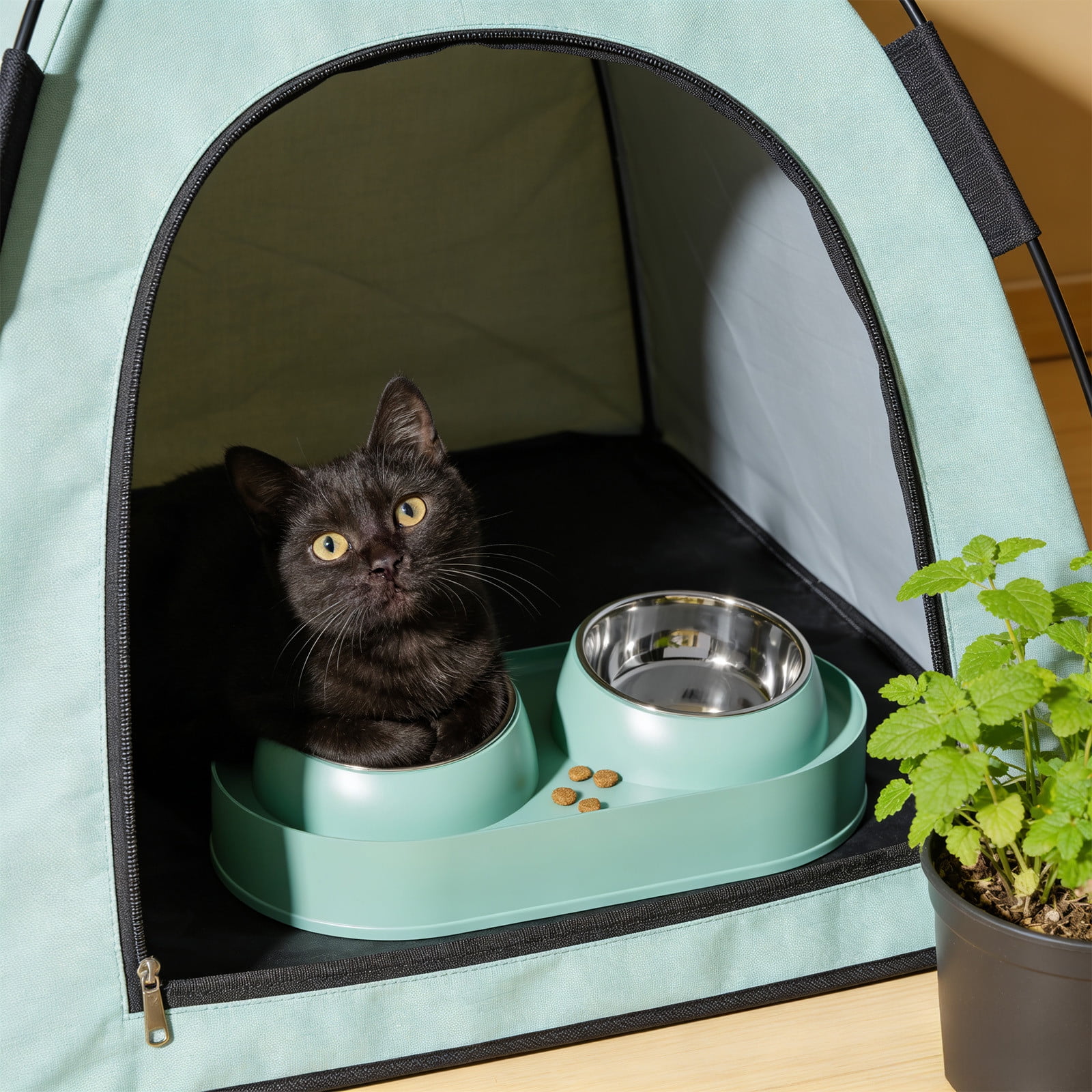 Stainless Steel Double Cat Bowl, Tilted Elevated Food and Water Dish, Ergonomic Non-Slip Feeder for Cats and Kittens, Easy Clean Large Capacity Pet Bowl in Mint Green