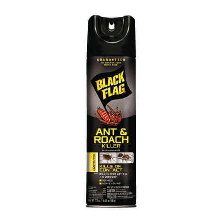 https://i5.walmartimages.com/asr/e5f4668c-cbd9-4a0a-b1fd-6b99940a8597.ee455d61c20a615760bb9008baccfa82.jpeg?odnHeight=450&odnWidth=450&odnBg=ffffff