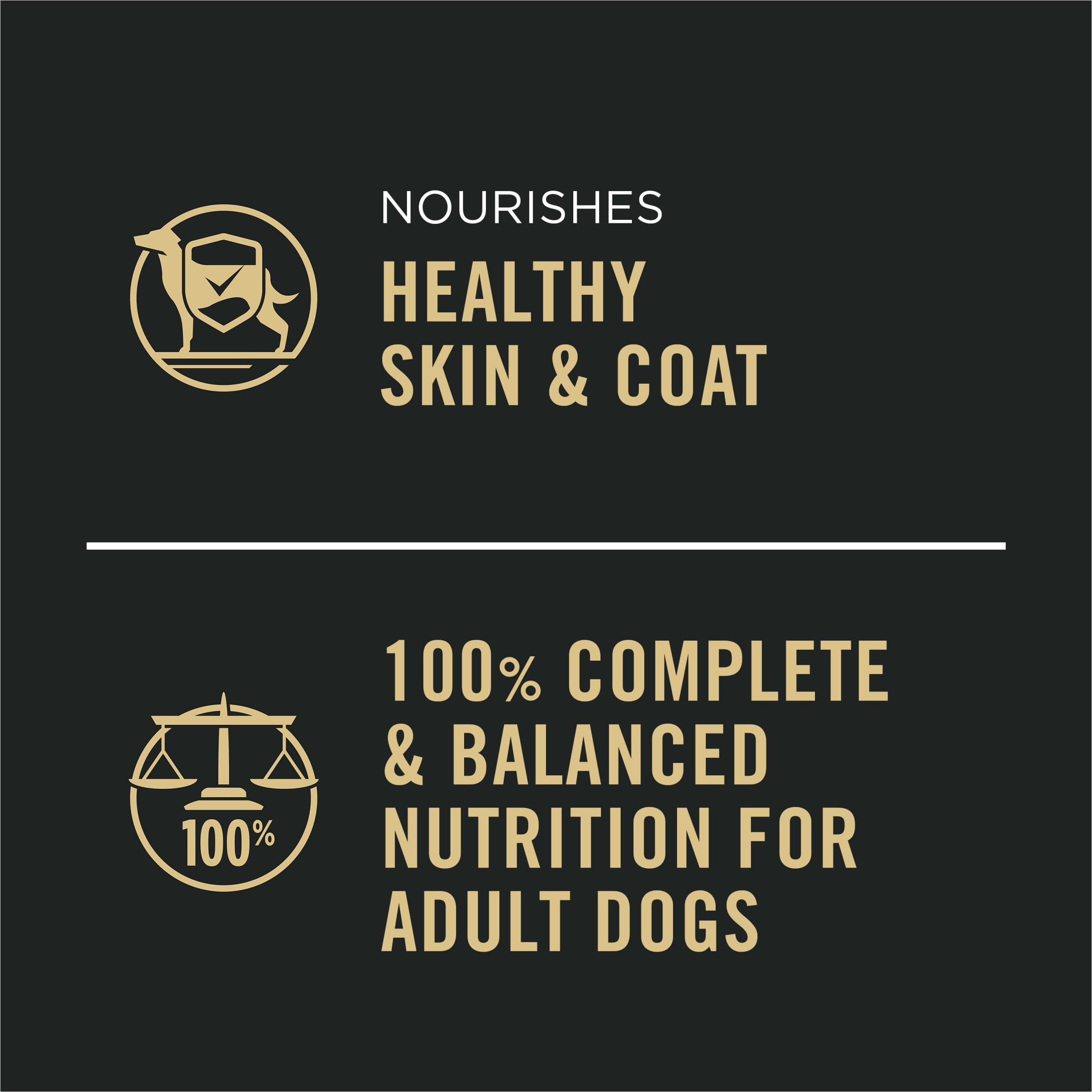 Purina Pro Plan Complete Essentials Slices Beef and Vegetables Entree in Wet Dog Food Gravy, 13 oz Can