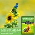 thumbnail image 5 of Common Sunflower Seeds for Planting | Bird & Pollinator Magnet | Native Full Sun Annual Flower - 1 Pack, 5 of 9