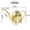 Gold, variant on FEOLGEHLY 500ML Sliver Watering Can for Indoor Plants, Garden Tools for Home Decor, Long Spout Watering Can for House Plants, Stainless Steel Small Watering Can Precise Pour for Plant Pots, Cleaning