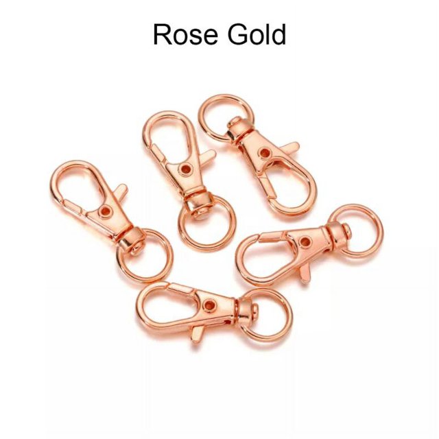 Lote de 10 unidades de ganchos de cierre de langosta giratoria, llavero dividido, Conector de anillo para bolso, cinturón, cadenas de perro, accesorios de fabricación de joyería DIY