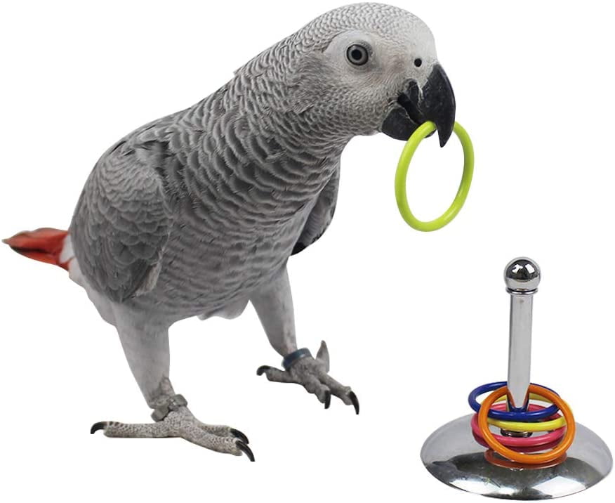 Bird Stacking Rings Toys，Parrots Trick Tabletop Toys, Stainless Steel