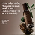 thumbnail image 5 of Body Mist Saltair Driftwood Scent 240mL 2 Pack, 5 of 5