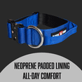 thumbnail image 3 of Boss Dog ProSeries Heavy Duty Dog Collar, Neoprene Lined, Blue, XL, 3 of 6