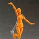thumbnail image 5 of sweethay Exquisitos juguetes modelo de cuerpo humano, estilo único para mano de obra artística, juguetes cognitivos científicos para niños pinturas macho naranja, 5 of 6