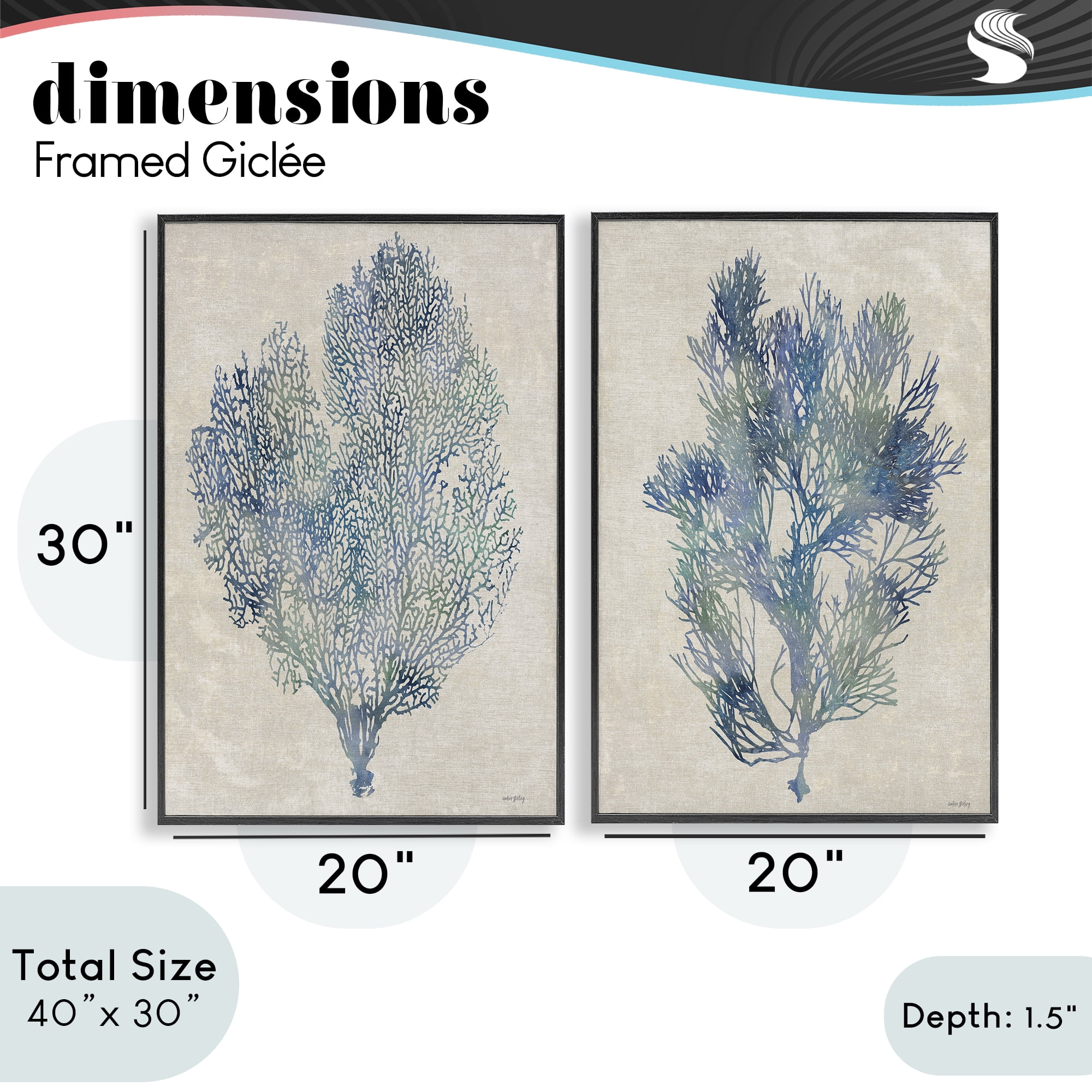 Stupell Industries Fan Coral Study in Blues 2 Piece Black Framed Giclee Art Set, design by Amber Sterling
