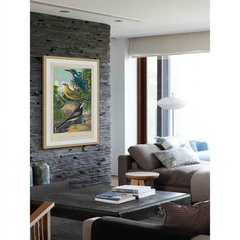 Marmont Hill "Kingfisher & Wagtail" Framed Painting Print