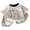 White, variant on Kids Toddler Boys Back to School Outfit Apple Applique Shirt + Plaid Shorts First Day of School Clothes Set (White, 3-4 Years)